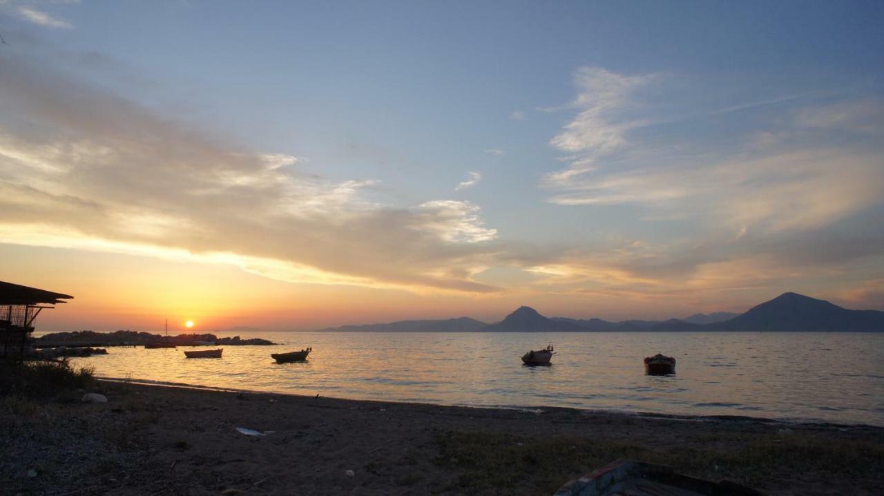 Cozy * Patras